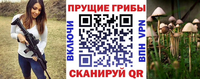 Купить закладки Ковылкино Псилоцибиновые грибы GOLDEN TEACHER